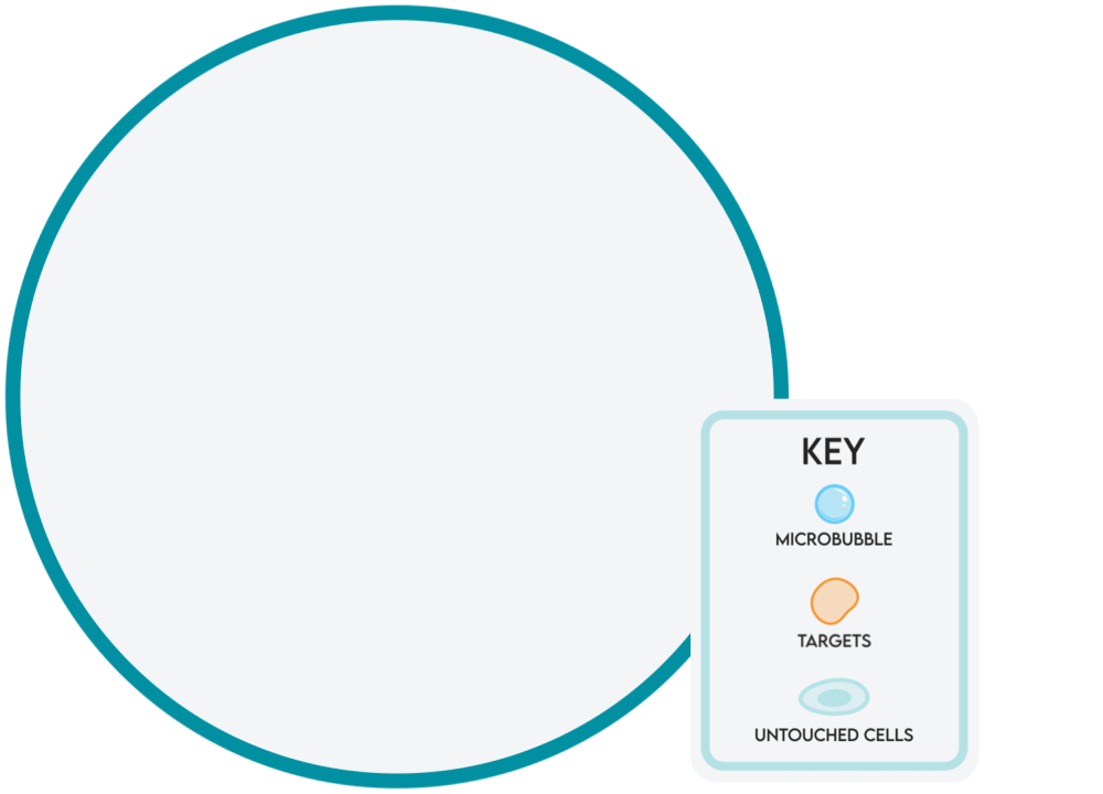 AKDM_Animation_HowItWorks_WithKey