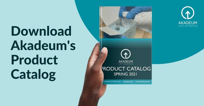 Product Catalog Download