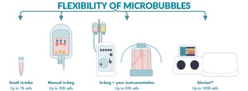 Poster Featured Img_Flexibility of Microbubbles